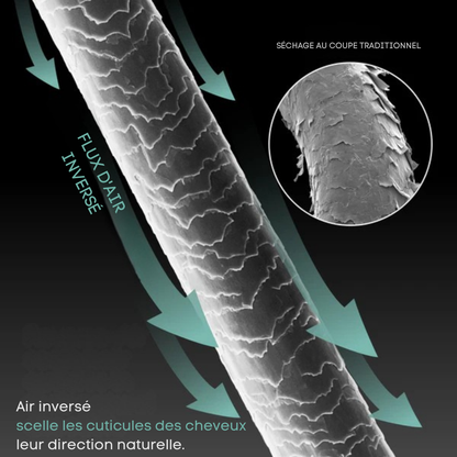 Reversa™ – Appareil de Séchage Capillaire à Air Inversé